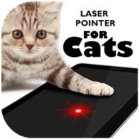 Laser Pointer for Cat