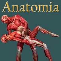 Anatomia humana gratis en Español