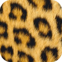 Animal Print Wallpapers