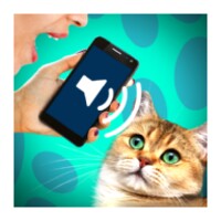 Cat Voice Translator