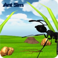 Ant Sim