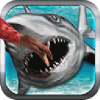 Wild Shark Attack Simulator 3D